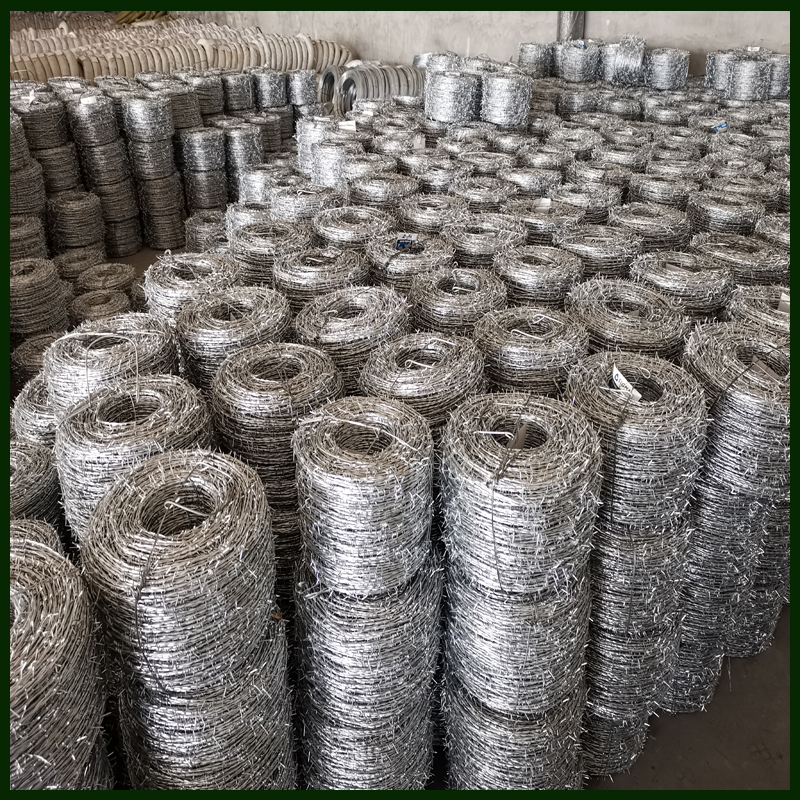 Good Quality 14x14 Electro Galvanized barbed wire