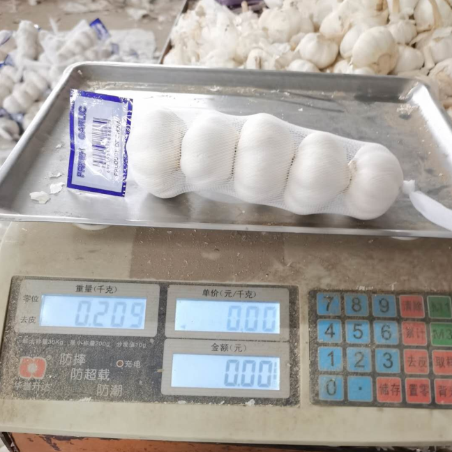 Chinese pure white garlic small pack 5P/200g