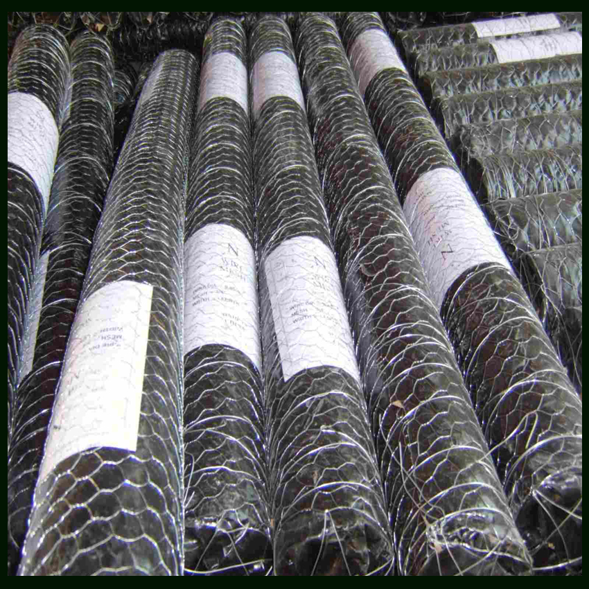 Gavanized Hexagonal wire netting 3/4" 1" Exported to European Market
