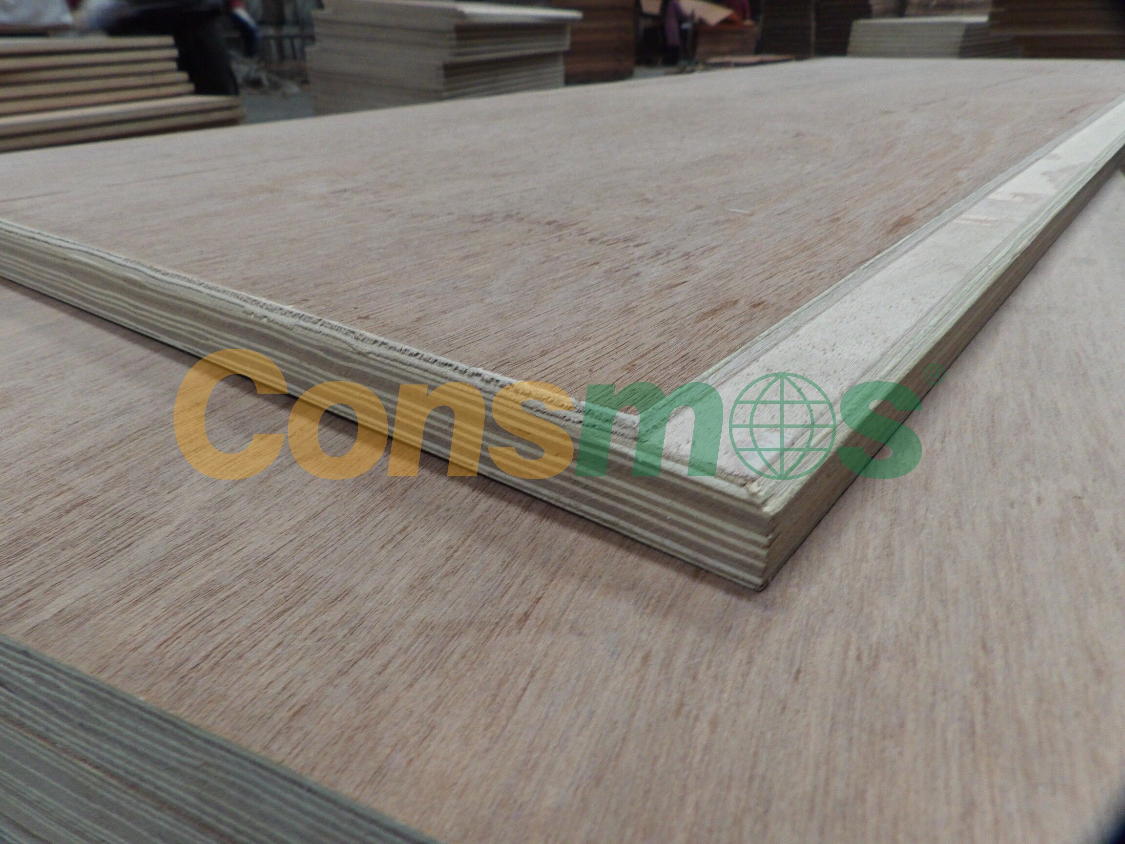Container plywood