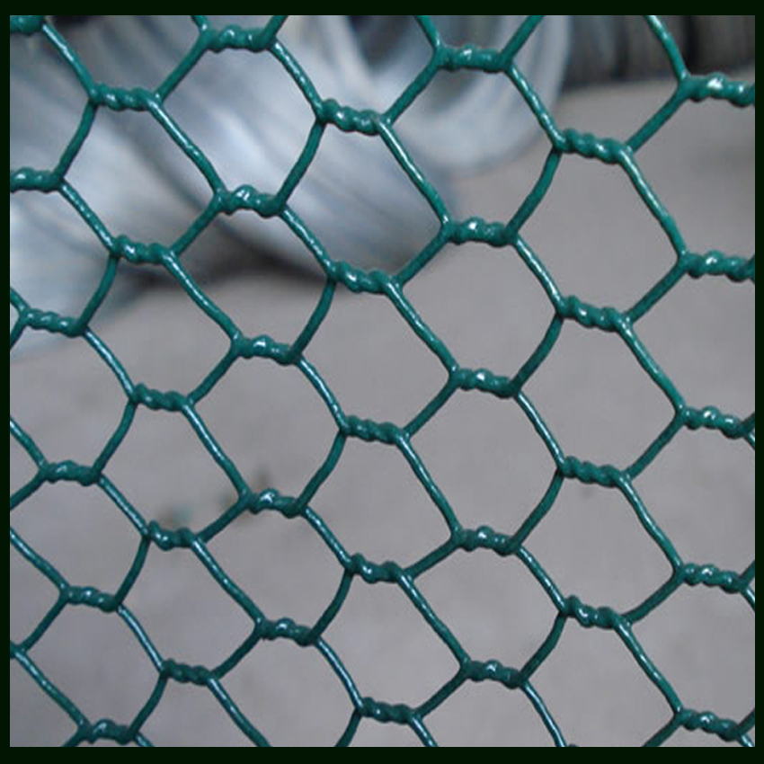 3/8" 5/8" PVC Coated Hexagonal wire netting exported to Latin America
