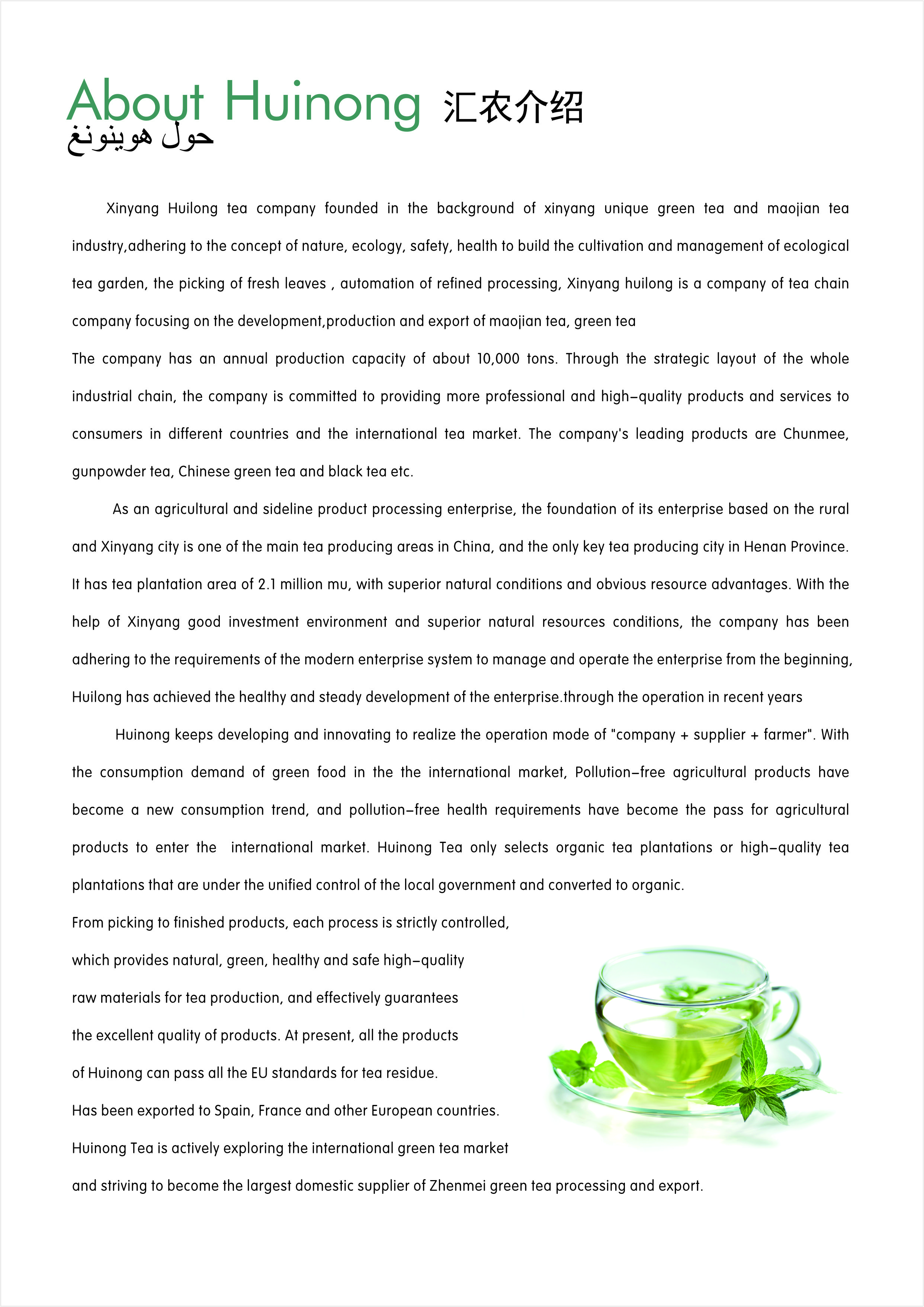 Xinyang Huinong Tea Co., Ltd. – 绿茶 1
