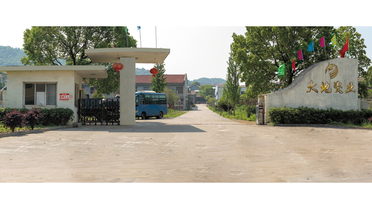 Liling Feiyang Ceramic Industrial Development Co., Ltd. – Other daily ceramics 1