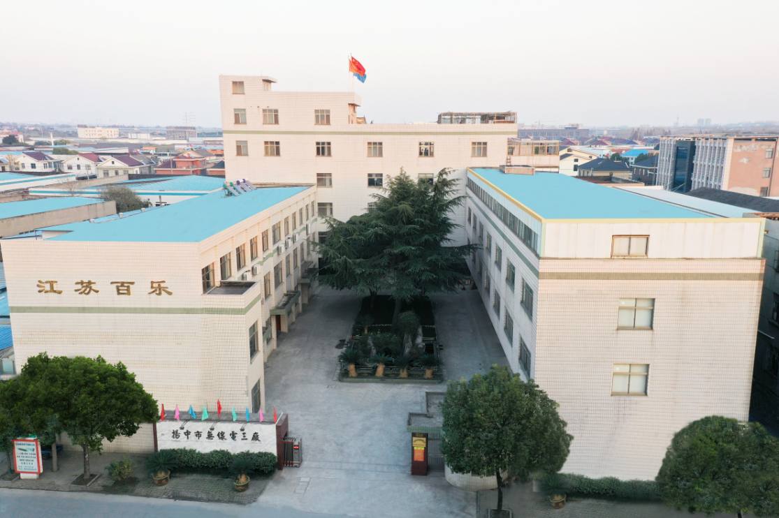 Jiangsu Baile Electrical Appliances Co., Ltd. – Electric iron parts 1