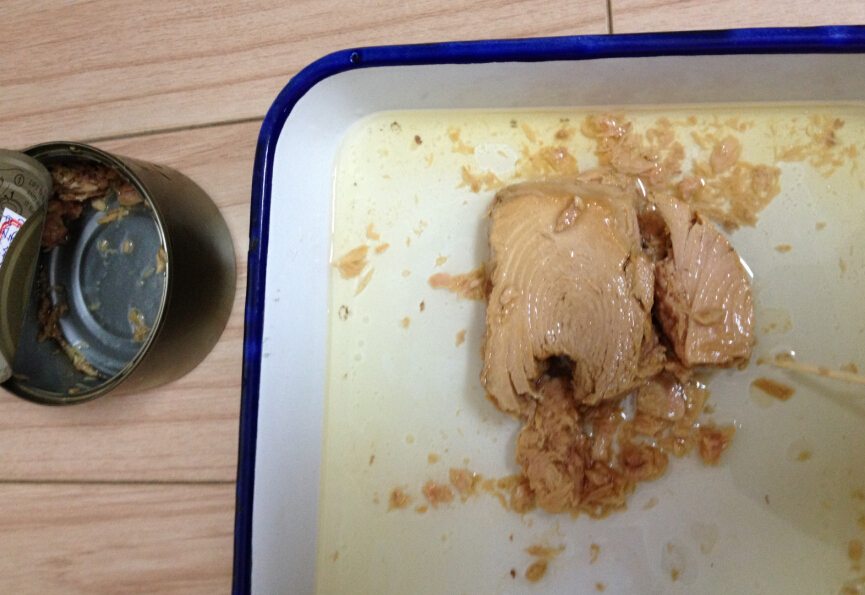 Canned tuna