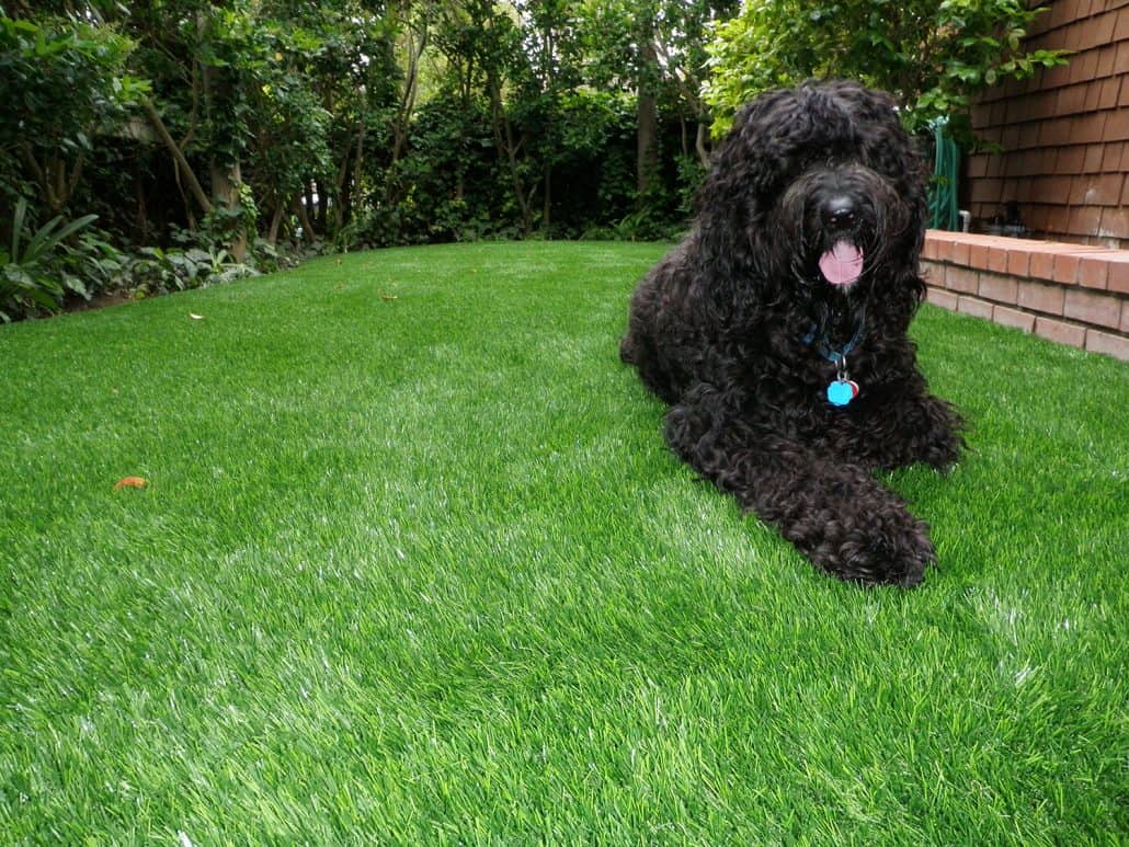 4 Tones 37mm Synthetic Turf Artificial Grass Surface Fake Grass Carpet Grass