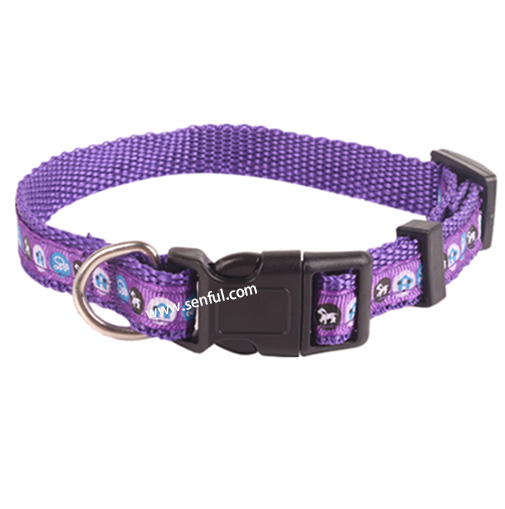 pet collar