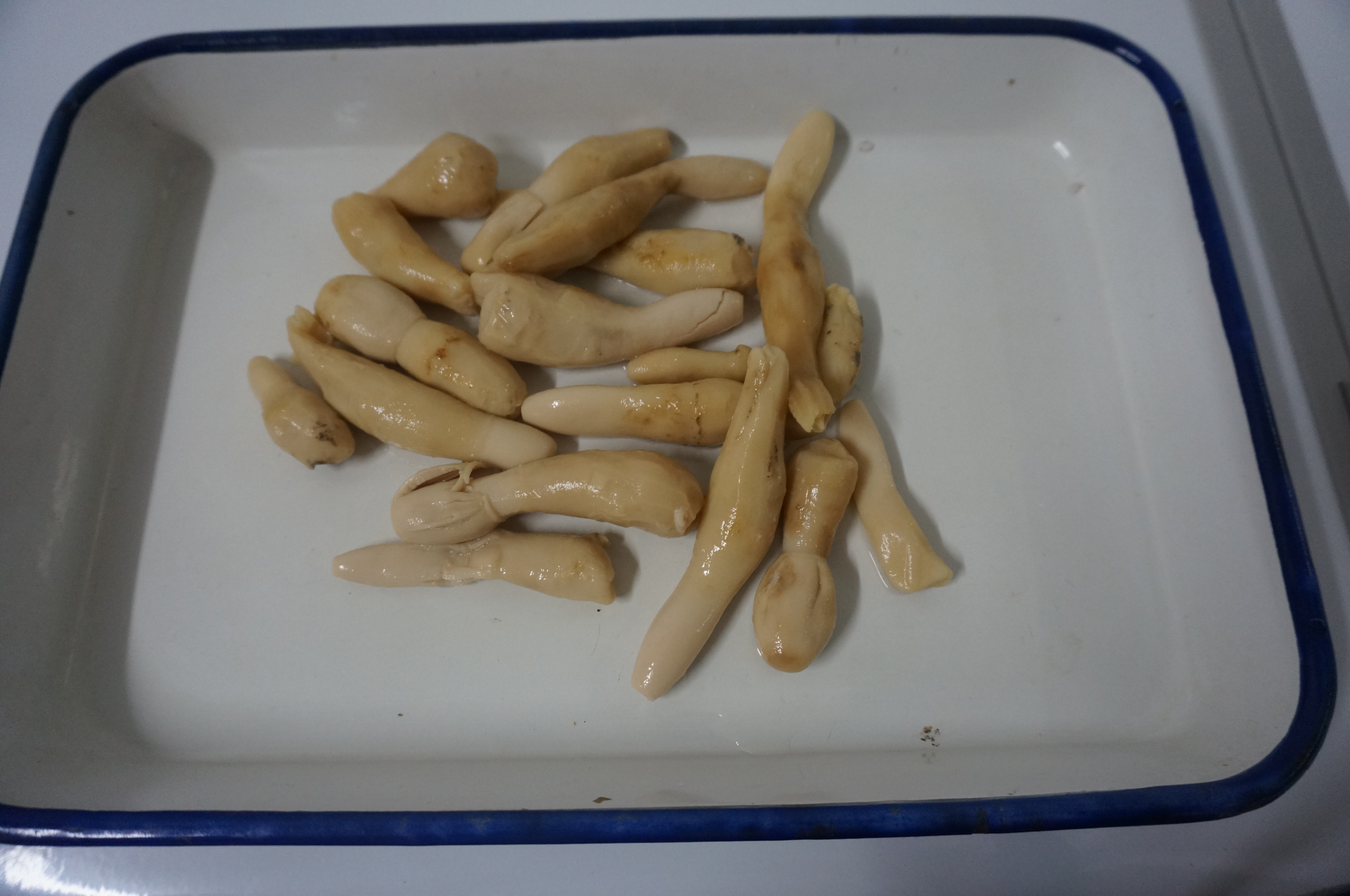 Canned drumstick mushroom