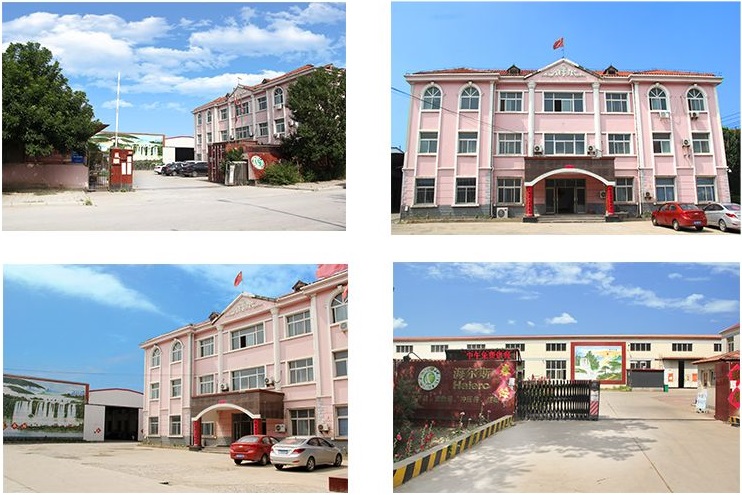 Tianjin Hairs Metal Products Co., Ltd. – Other hardware products 1