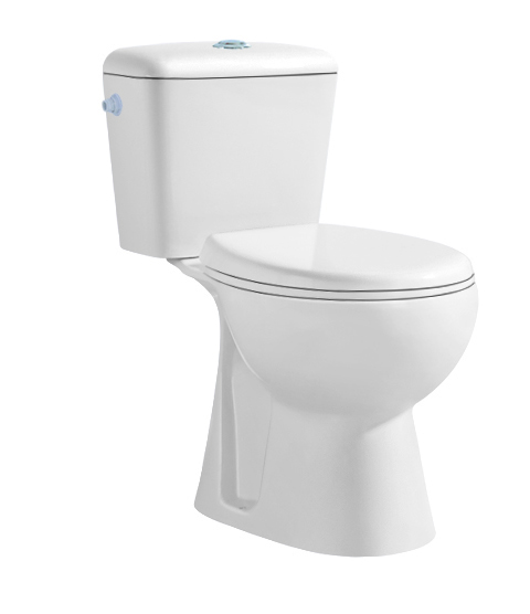 LR-C638 Ceramic washdown two piece toilet