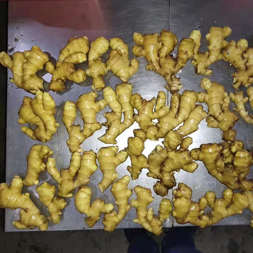 China export fresh ginger 200g, GAP quality oung ginger supply