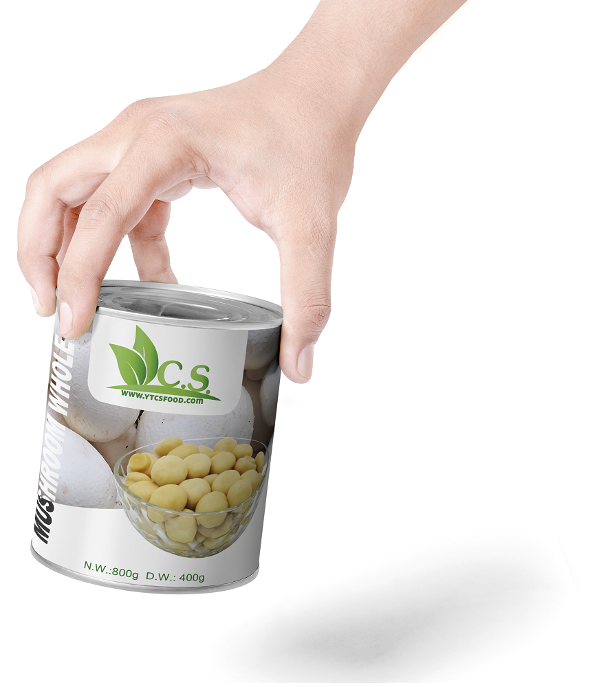 Yantai Keylan Import and Export Co., Ltd. – canned beans 2