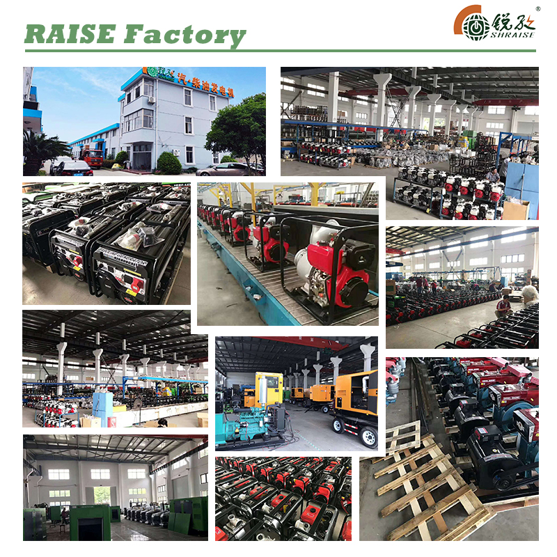 Shanghai Ruizi Power Machinery Co., Ltd. – drainage and irrigation machinery 2