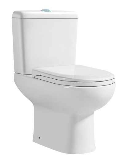 Ceramic washdown two piece toilet