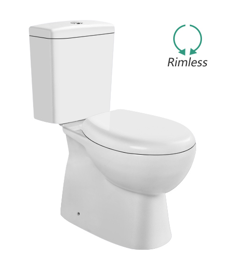 C631 Ceramic washdown two piece toilet)