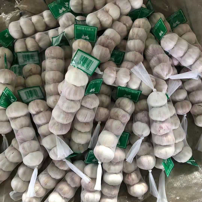 China normal white garlic 5.0cm/5p, export quality fresh garlic 200g pack