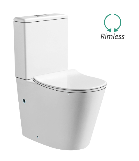 C610 Ceramic washdown two piece toilet