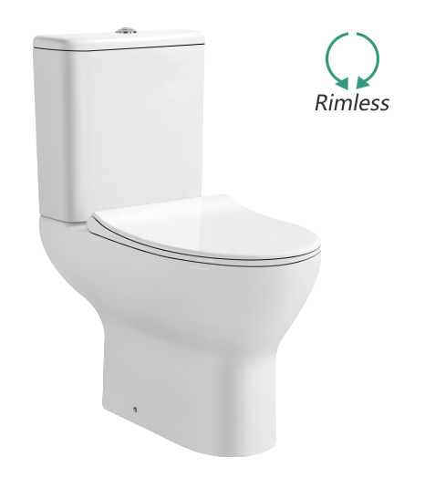 C605 Ceramic washdown two piece toilet