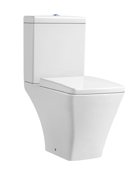 Ceramic washdown two piece toilet