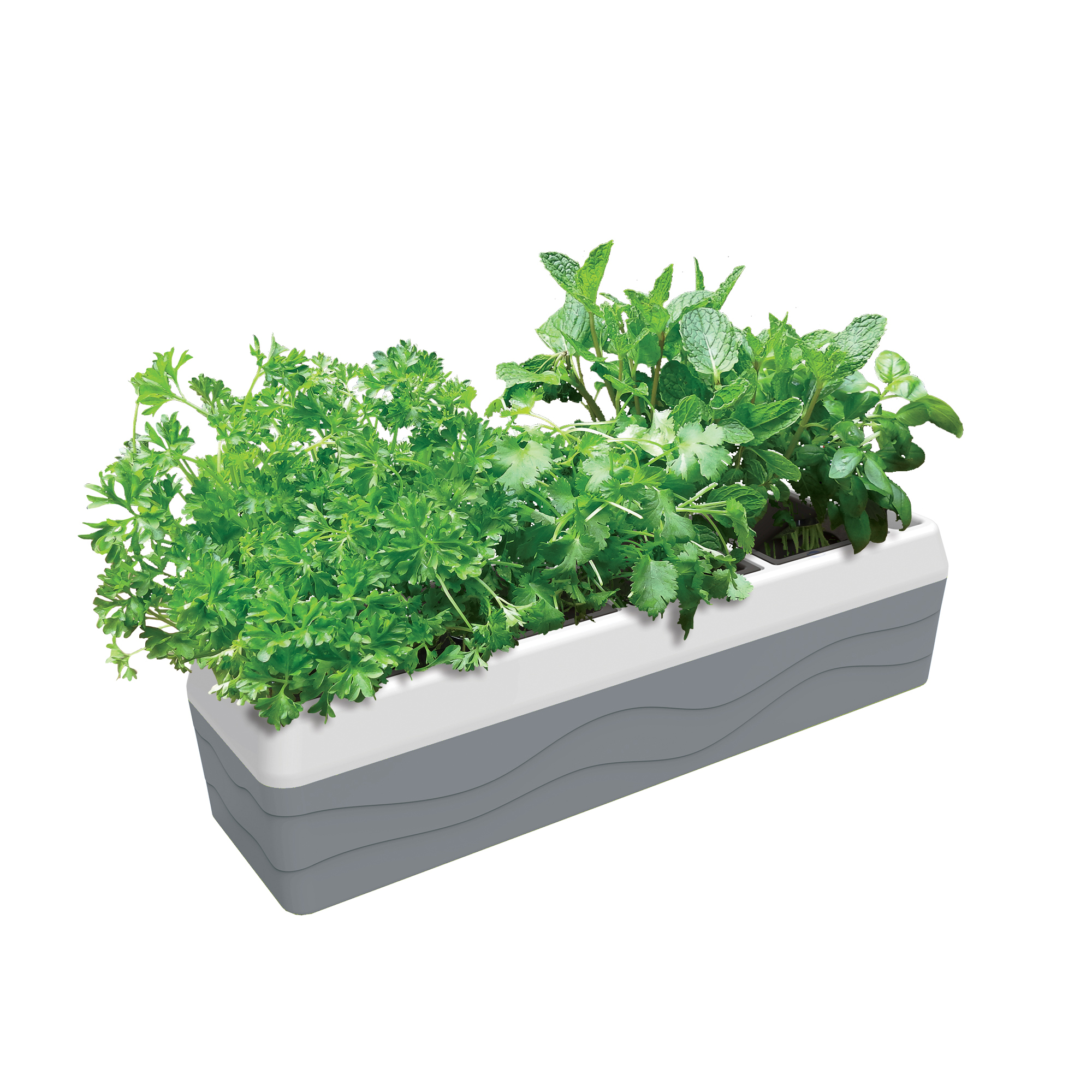 Windowsill Herb Planter