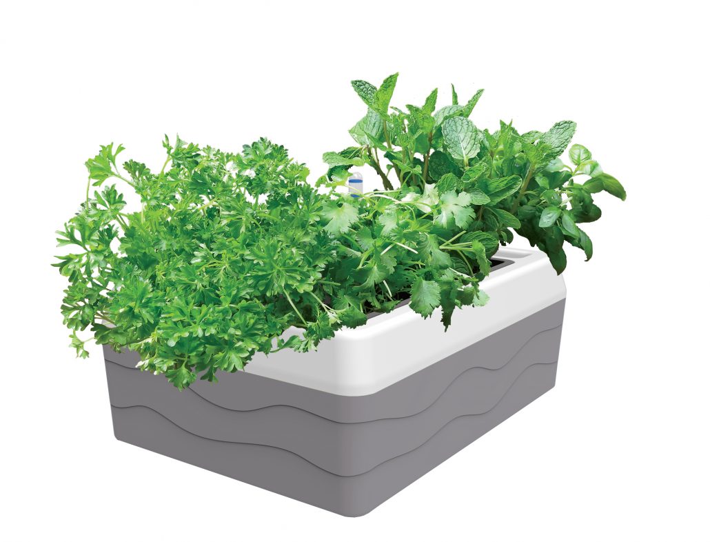 Herb Harvester