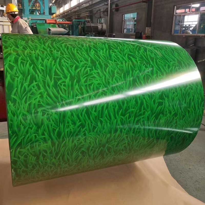 Color steel coil,prepainted steel coil,ppgi coil,color galvanized steel coil,prepainted galvanized steel coi