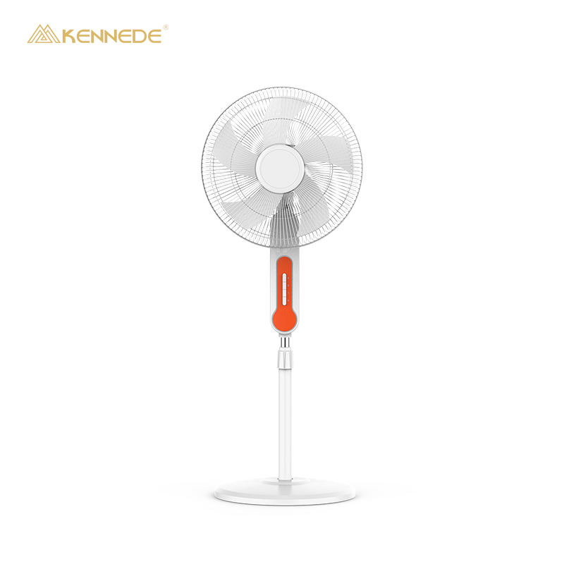 Stand Fan