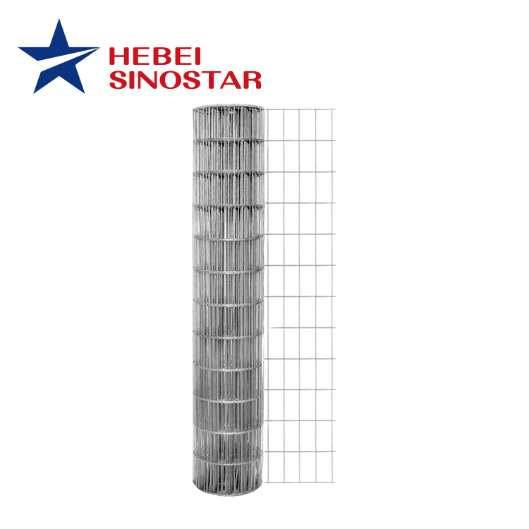 Galvanized Welded Wire Mesh,Welded Wire Mesh,PVC Coated Welded Wire Mesh