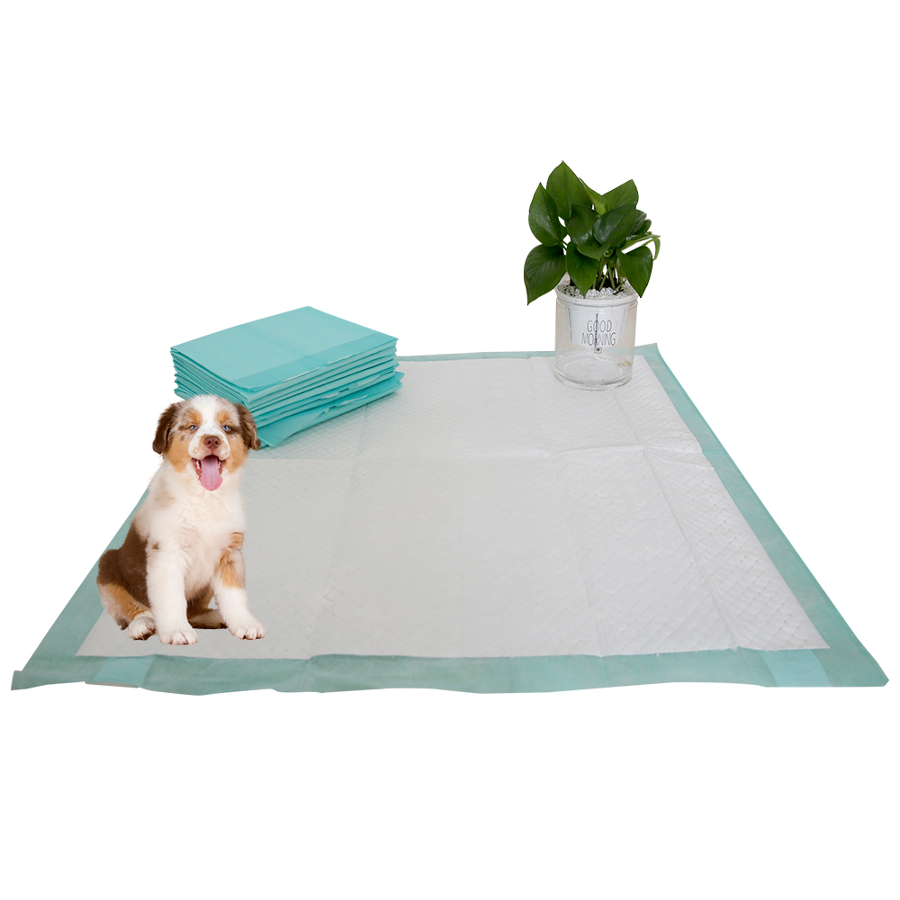 pet pad
