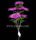 7 branches of heronsbill