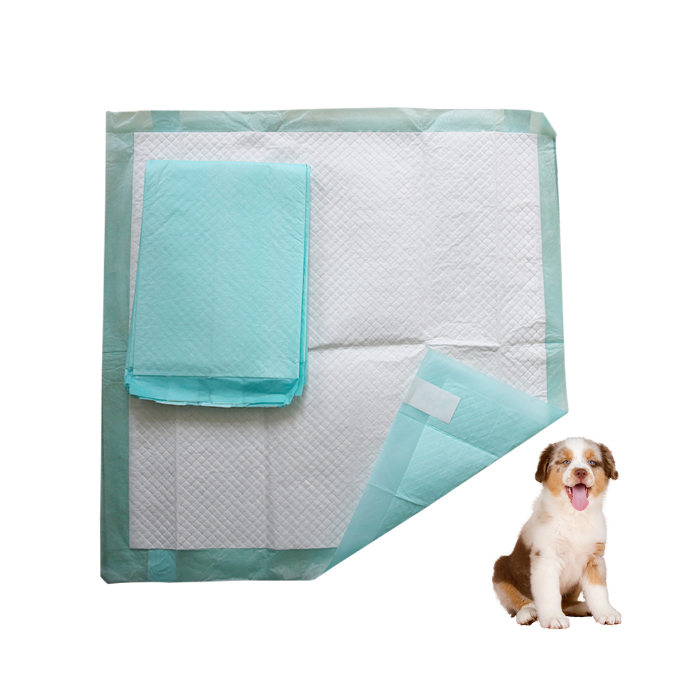 puppy training pad