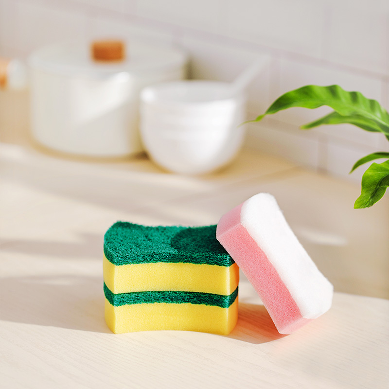Sponge Scourer