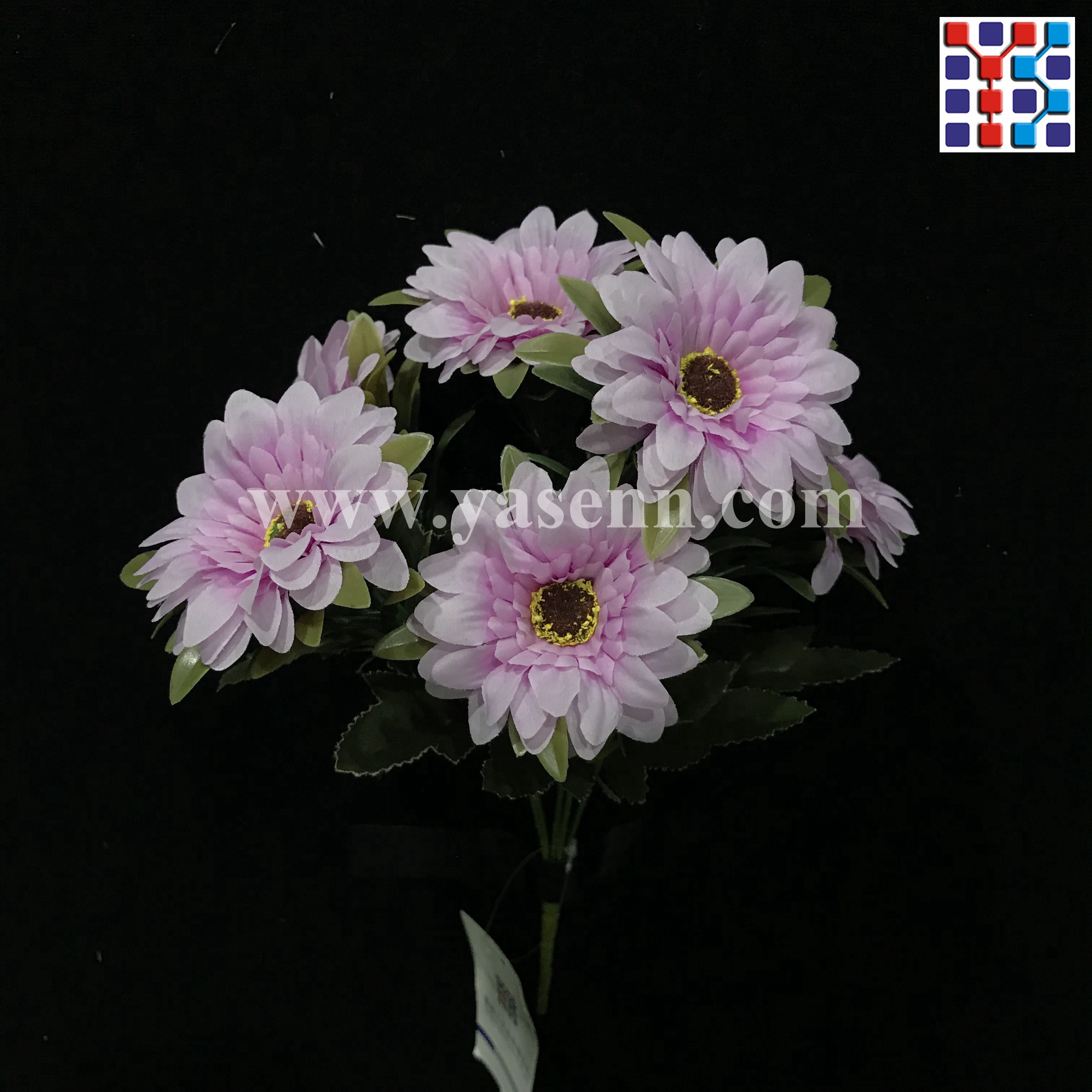 6 branches of Polish chrysanthemum