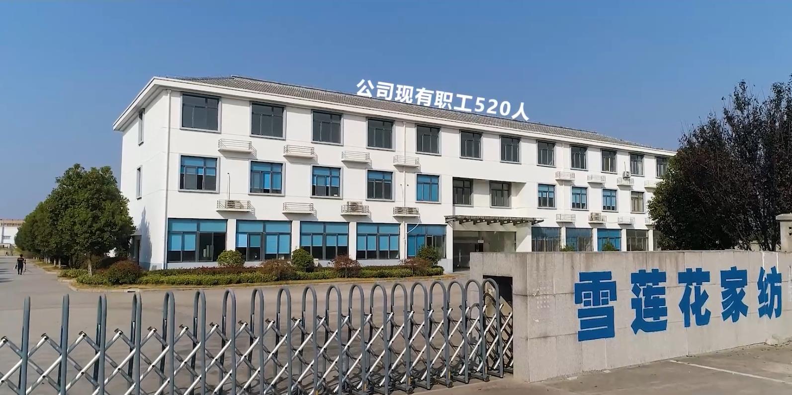 Huai'an Benteng International Trading Co., Ltd. – Down quilts 1