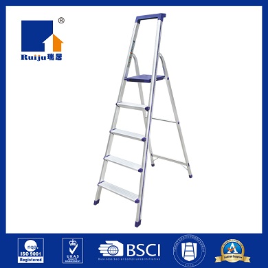 Professional Stepladder