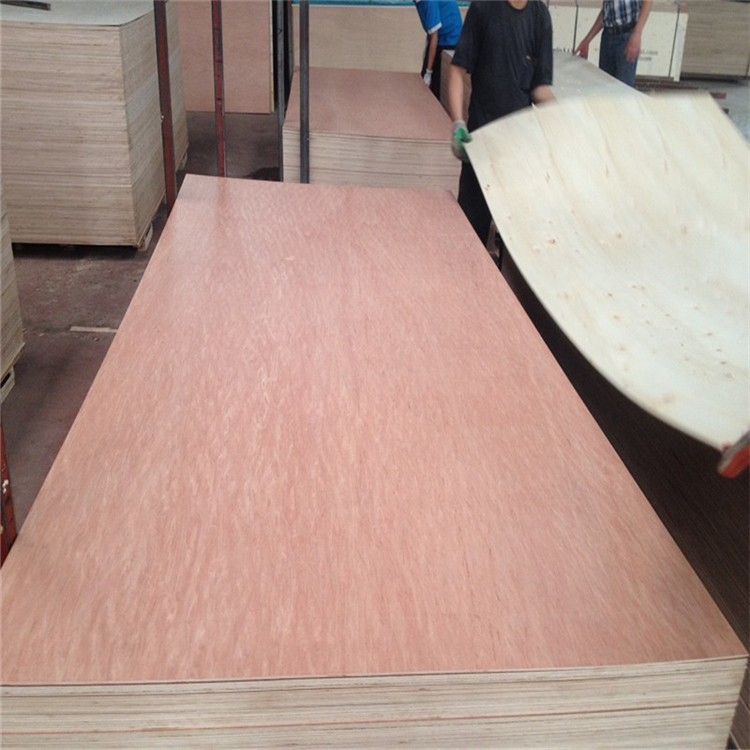 bintangor PLYWOOD