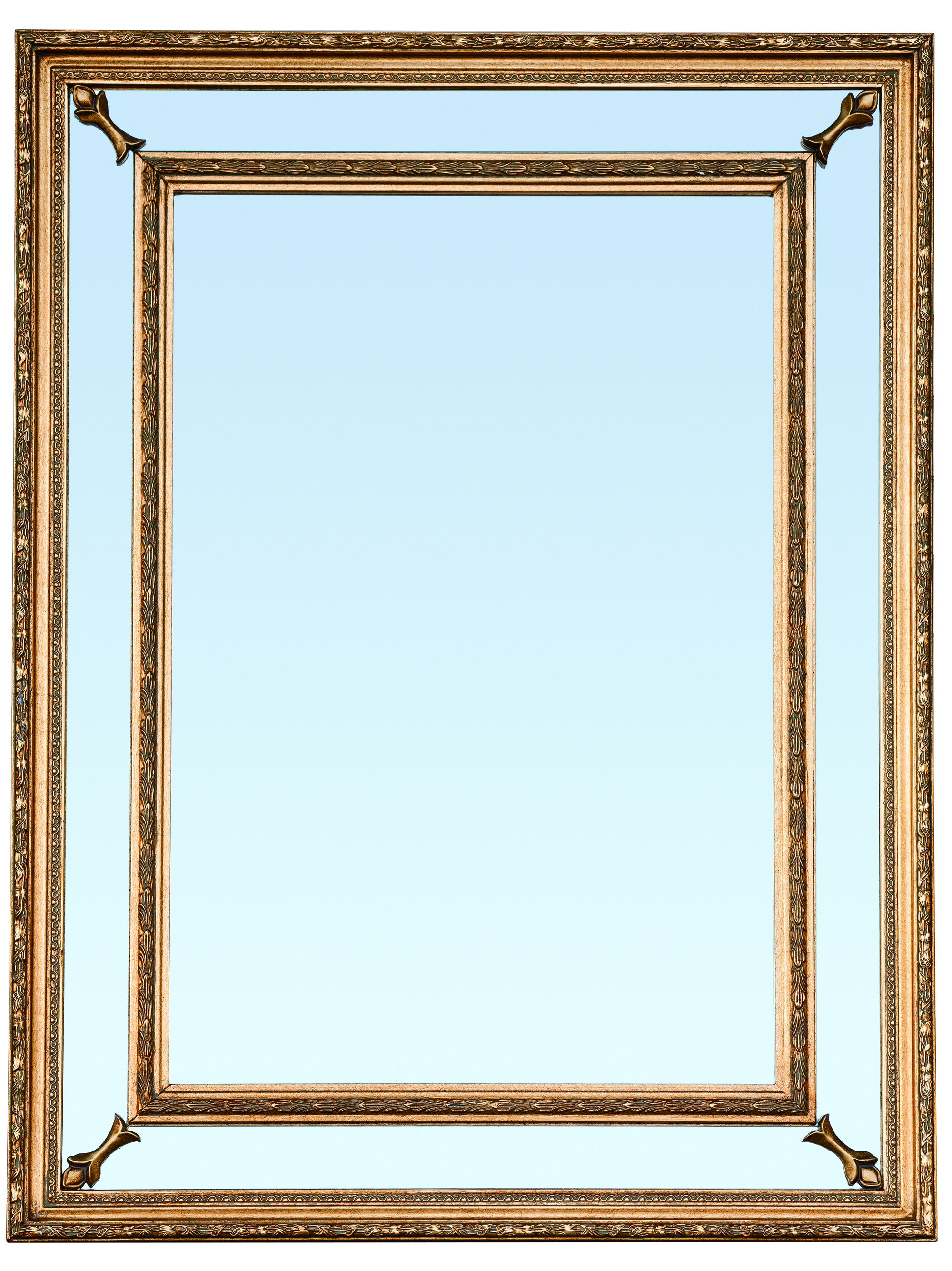 14f-483 Mirror