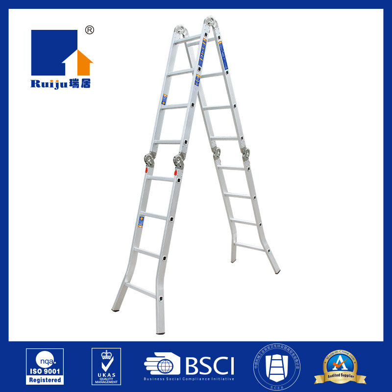 Multi Position Ladder