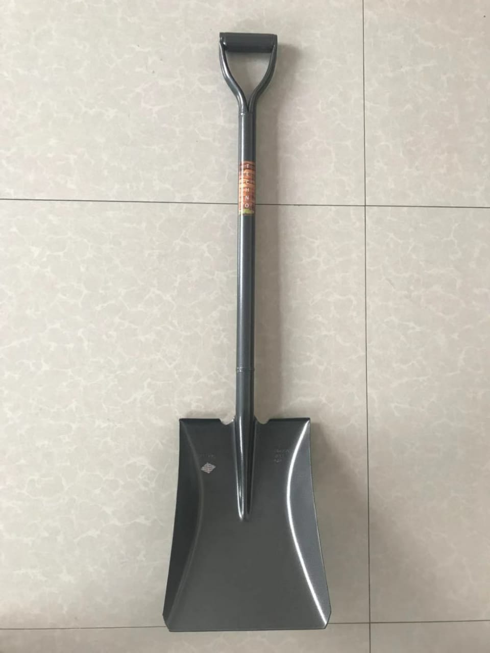 S519Y