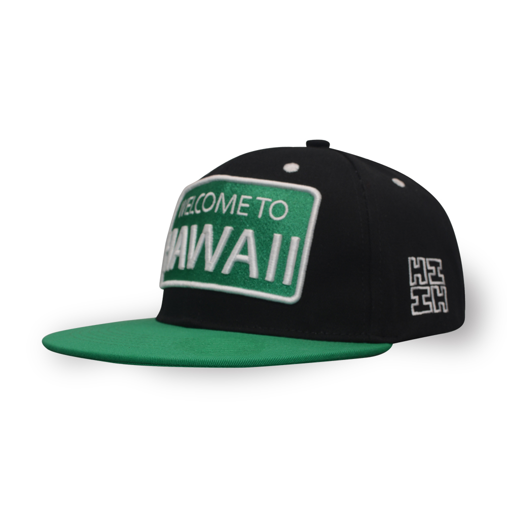 6 panel fancy 3D embroidery cotton twill snapback cap