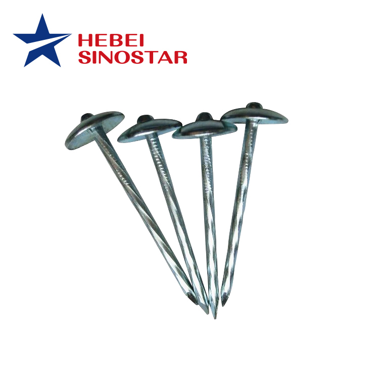 Umbrella Twisted Roofing Nail （Clavo）