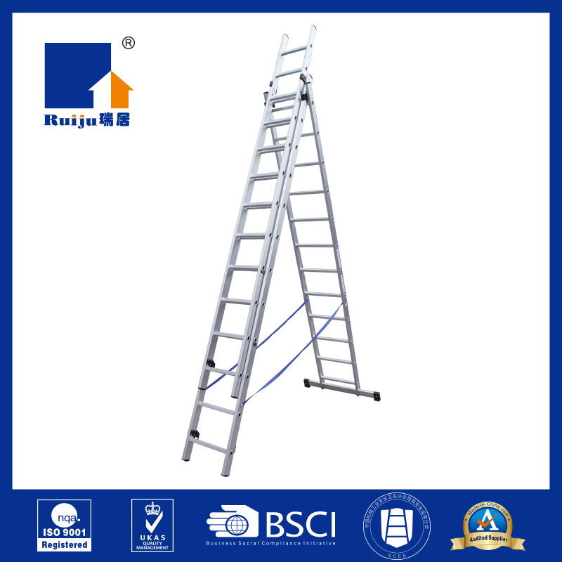 Combination Ladder