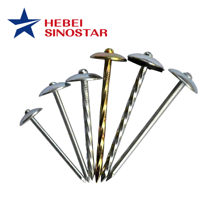 Umbrella Head Roofing Nail （Clavo）