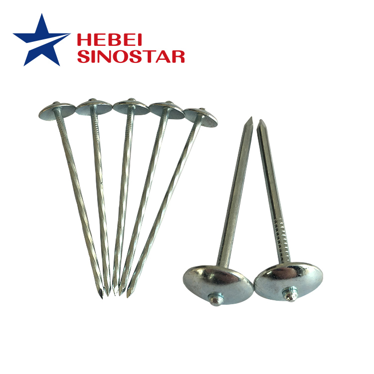 Galvanized Umbrella Head Roofing Nail（Clavo）