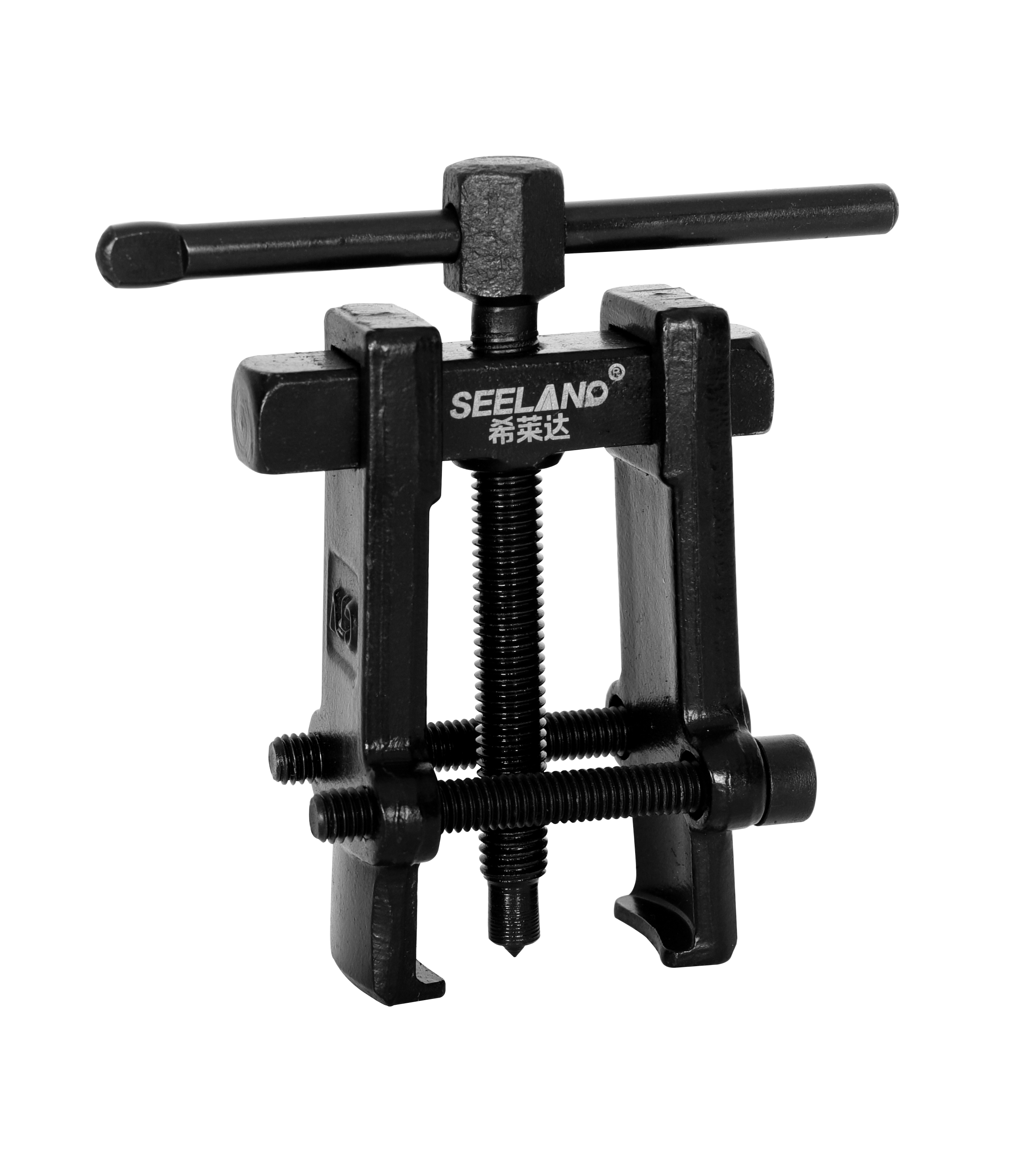 Bearing two-prong Horse