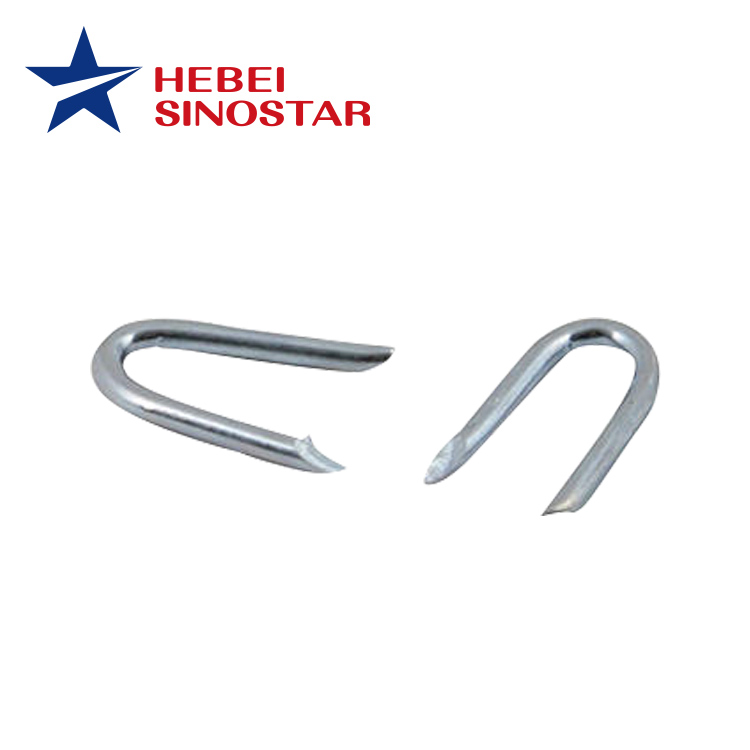 Hot dipped Galvanized U Staple Nails