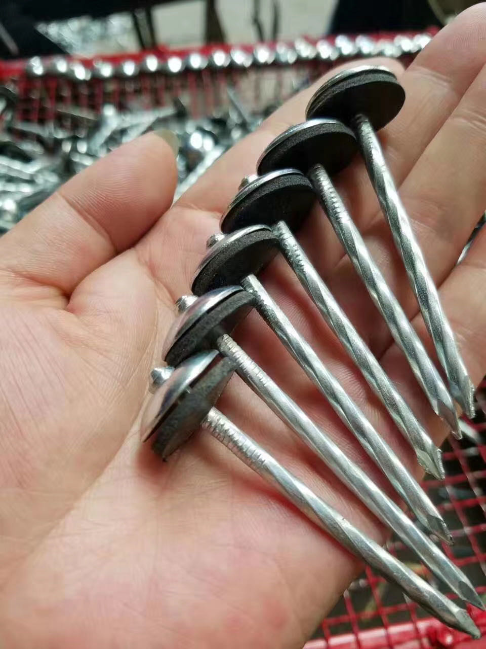 bwg10x2" CLAVOS GALVANIZEDOS COMA