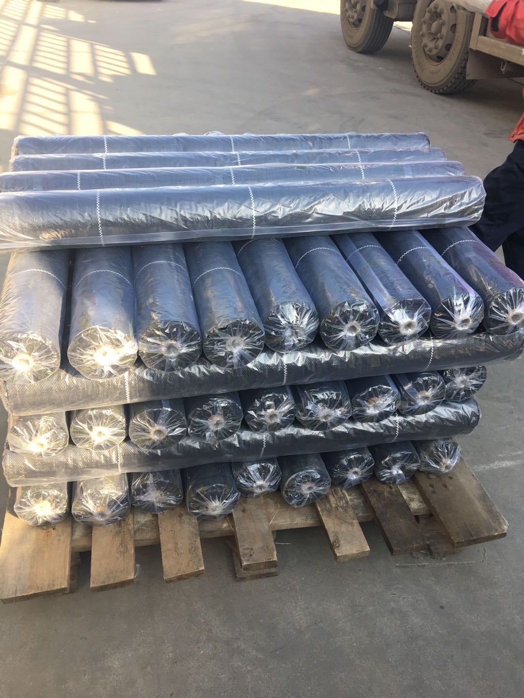 pp woven fabric/geotextile