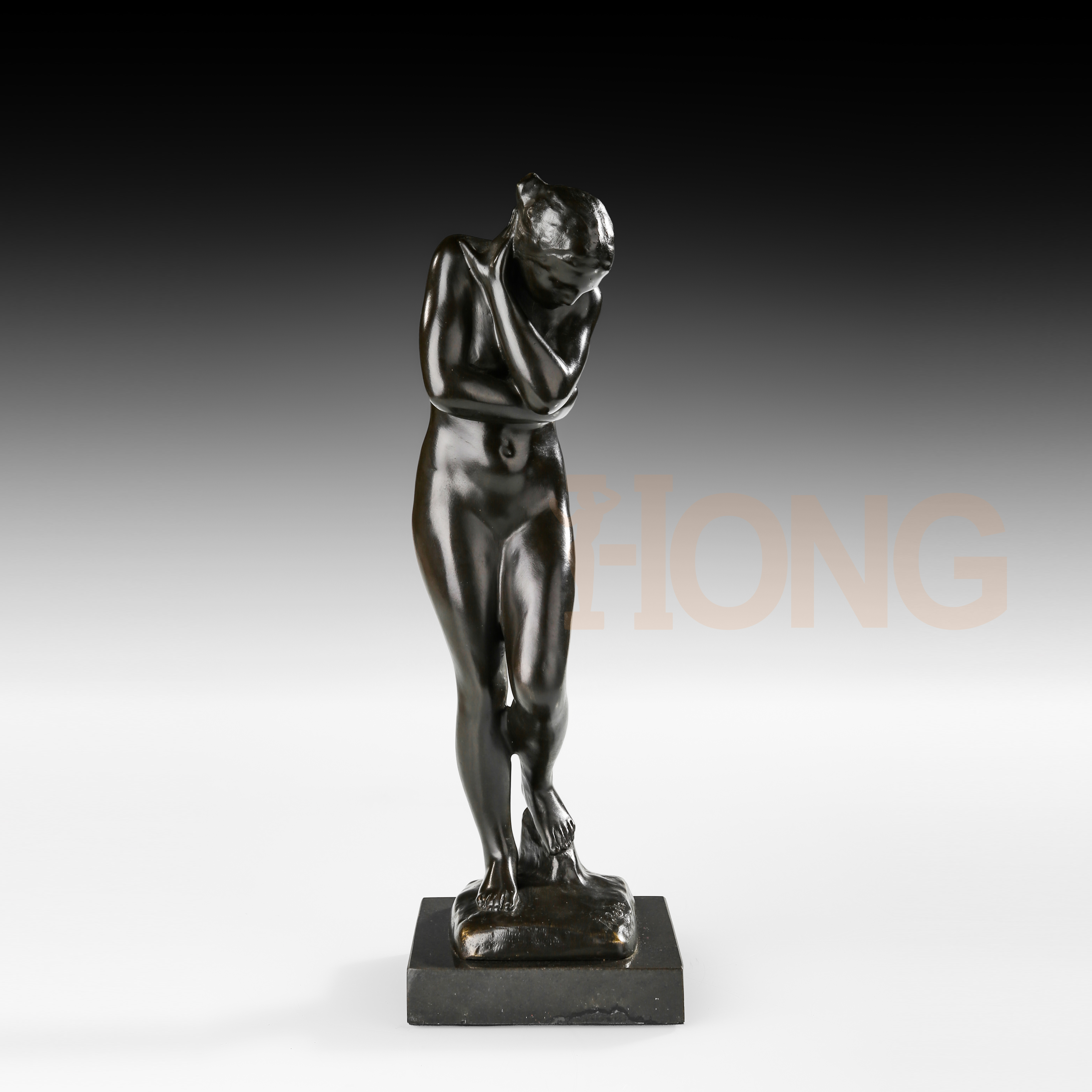 Epa-556bronze Sculptures Hongxin