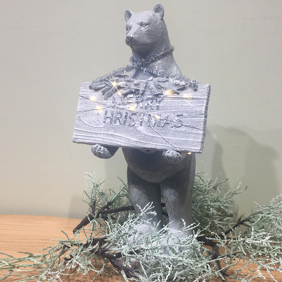 Bear with black board